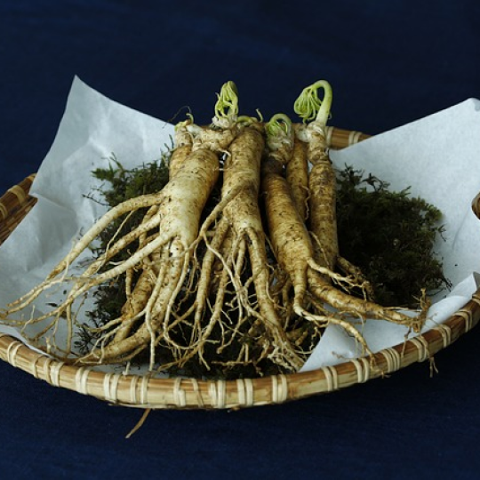 Bubuk Ginseng Putih