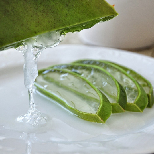 Aloevera